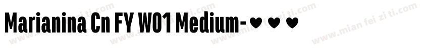 Marianina Cn FY W01 Medium字体转换